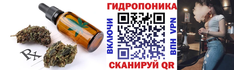 где можно купить Можга Cannafood конопля