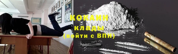 тгк Алзамай