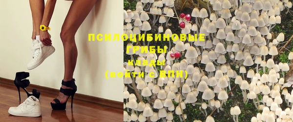винт Алексин
