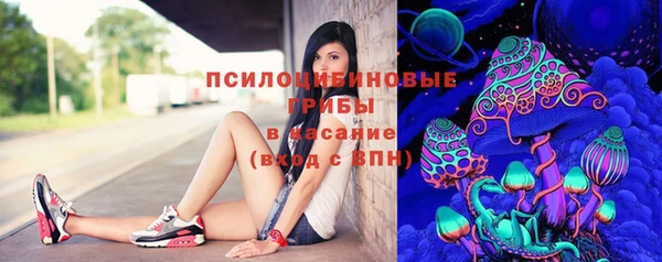тгк Алзамай