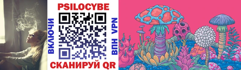 Галлюциногенные грибы Cubensis  Можга 